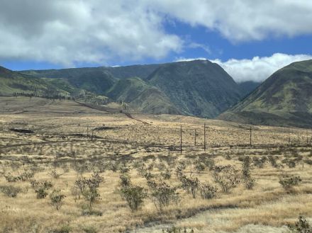 ハワイ・マウイ島大火災の「爪痕」を現地レポート、日本の震災復興体験が現地にもたらしていた“光”とは