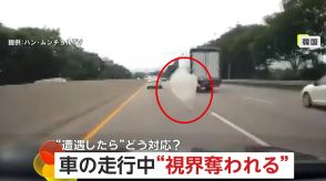 【絶対絶命】走行中のフロントガラスに襲いかかるビニールシート…視界奪われた「15秒間」恐怖の運転　韓国