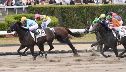 【札幌8R】1番人気オルゴーリオV　武豊は5Rに続く勝利！札幌開催5勝目でリーディングトップ快走