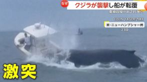「オーマイガー!」クジラがジャンプし船に激突　大きな口を開けてぶつかり来る瞬間　船は転覆し乗組員2人が海に　アメリカ