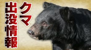 クマの痕跡見つかる 約1メートルの成獣か 富山県氷見市