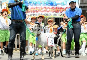 「飛び出しちゃだメェ～」ヤギが一日署長、夏休みの事故防止呼びかけ