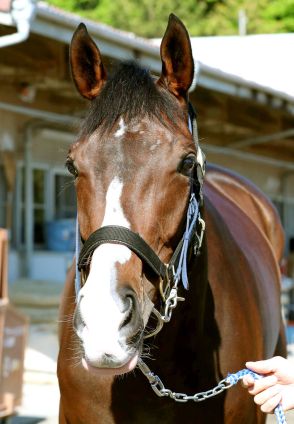 【クイーンＳ】武豊騎手騎乗の初タイトル狙う３歳馬が１番人気　前日最終オッズ