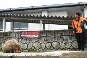 カピバラがスイカ早食い競争　栃木・那須どうぶつ王国など全国５カ所で「カピリンピック」　代表「ギバ」は第３位に