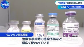 ペニシリン系抗菌薬30年ぶり国産化へ　その復活を支える職人技【WBSクロス】