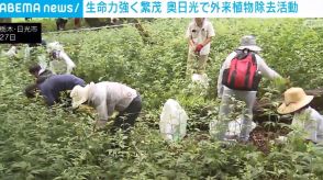 生命力強く繁茂 外来植物除去に約260人のボランティアが参加 栃木・奥日光