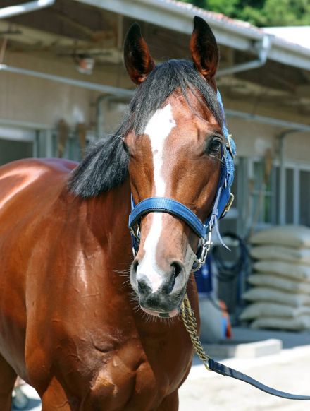 【注目馬動向】ソールオリエンスは天皇賞・秋を視野に調整　今春の宝塚記念では２着