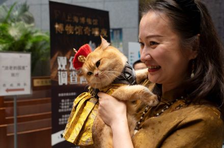 猫と一緒に夜の博物館鑑賞 中国・上海