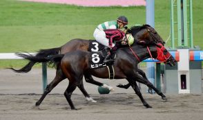 大井所属の笹川翼騎手がＪＲＡ初勝利「ゆくゆくは圭太さんや内田さんみたいなジョッキーになりたいと思います」