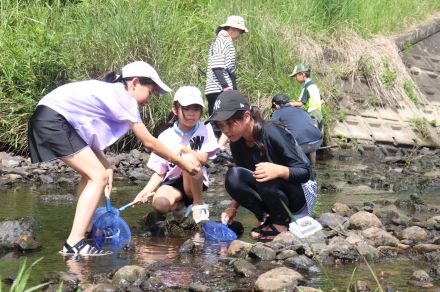 「ムギツクが暴れてびっくり」　京都・南丹の川で親子が夢中に