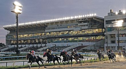 金沢競馬で初ナイター、心地よく　人馬の暑熱対策　