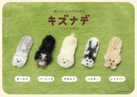 モフモフの犬や猫が傷を守る　心も癒やす絆創膏カバーが最高にかわいい