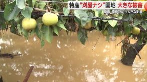 「何もなくなった」ベテラン農家も驚愕　記録的豪雨で川が氾濫　収穫直前の特産“刈屋梨”畑に大きな被害【山形発】