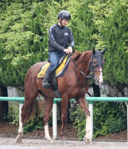 【エルムＳ・角田の特注馬】札幌ダートは先行天国！　ミトノオーの押し切りが濃厚だ