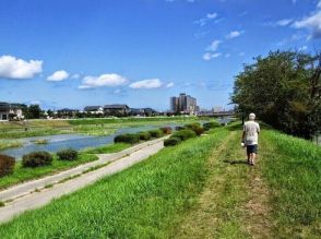 歩くことは健康維持のためには必要だけど夏は暑すぎて散歩どころじゃないんだけど、どうすればいい？「散歩ガイド」が教える真夏の外出のコツ