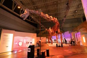 大迫力！【巨大恐竜展 2024】ロンドンの大英自然史博物館から全長約37メートルの巨大恐竜が横浜にやってきた！