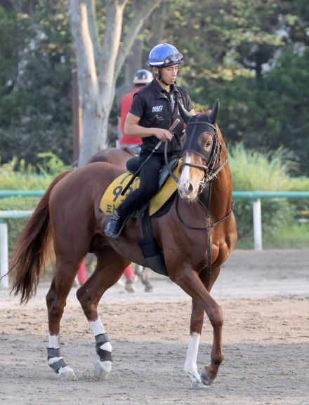 【エルムＳ　関係者談話】ミトノオー・牧調教師「小回りで平坦なコースもいいと思うし、うまく自分のリズムで運べれば」