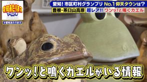 「ワンワン！」犬のように鳴く不思議なカエル「ネバタゴガエル」　鳴くのは1年に1週間程度　愛知県豊根村