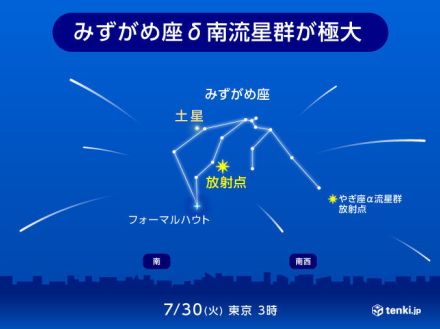 今夜「みずがめ座δ(デルタ)南流星群」ピーク　天気は?　流れ星を見つけるコツは?