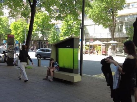 空気をきれいにする壁画や液体街路樹、大気汚染の最新対策はこれだ　東欧では社会実装