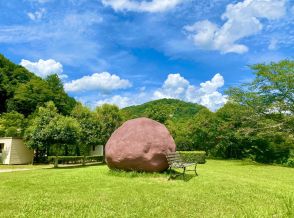 7月30日は「梅干の日」　公園の真ん中にでっかい梅干し　インスタ映えスポットとして人気