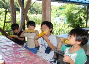 「もろこし街道」で「もう1本」　夏の名物、甘いトウモロコシ　長野