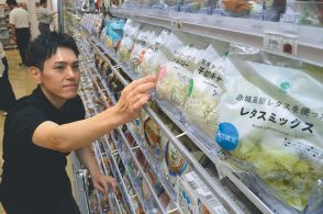 リーフレタス　出荷量20年で5割増　食感良くサラダ消費拡大