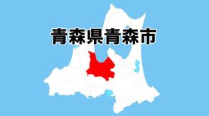 統合新病院　青い森セントラルパークと県営スケート場一帯の2案を比較