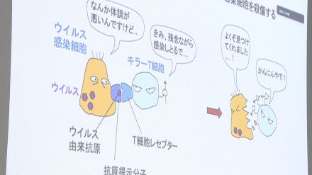 新型コロナ感染の細胞だけを攻撃する「キラーＴ細胞」作製に成功　京大などの研究チーム「人類をウイルス感染による死から救う」　ＥＳ細胞使い拒絶反応抑える