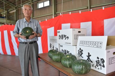 「寝太郎かぼちゃ」の出荷　ほくほくした食感と強い甘み【山陽小野田】