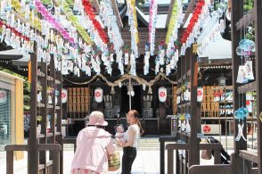 涼しげに揺れる3000個の風鈴　琴崎八幡宮が〝映え〟スポットに【宇部】