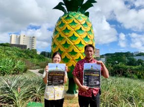 名護で「パイナップル狩り体験」　県産パイナップルの魅力を学ぶ