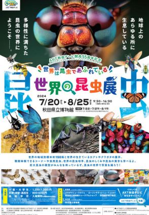 【夏休み2024】秋田県立博物館「世界の昆虫展」8/25まで