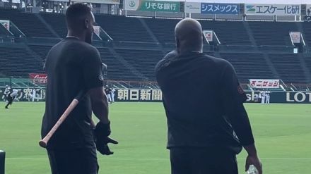 「詳しくてわかりやすい」巨人・ヘルナンデス　初の甲子園にウィーラーコーチが