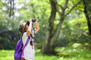 登校しなくても欠席にならない「ラーケーション」とは？学習×休暇が生み出す可能性と課題