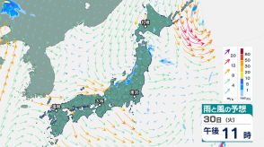 30日夜遅くにかけ関東甲信は「落雷」「竜巻」「局地的な激しい雨」に注意　東北は「大雨」のおそれ