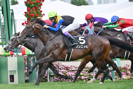 しらかばＳ勝ちのゾンニッヒは川田とのコンビでキーンランドＳへ【次走報】