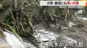 「ことしの収穫はもう終わり…」豪雨災害で伝承野菜の被害甚大　大雨で農地にも深い爪痕【山形発】