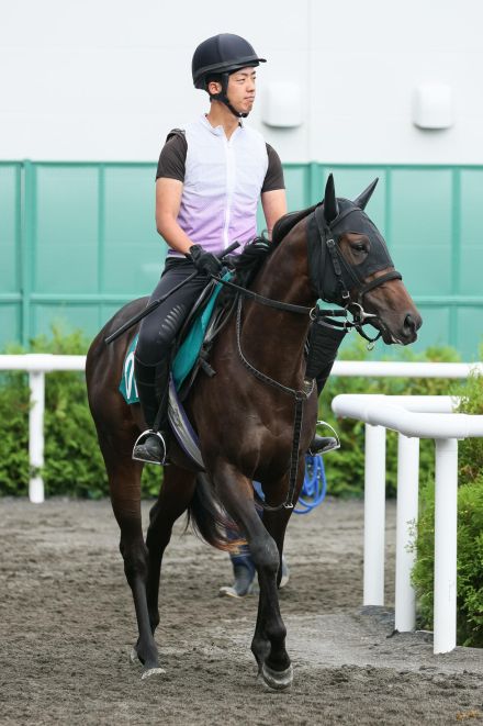 レッドアーネストは近親にG1馬トゥザヴィクトリー　笠原助手「いい時計で走れている」／新馬戦