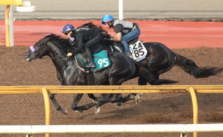 ジェゼロはトップレベルの素質秘める　中渕助手「どんどんしっかりしてきた」／新馬戦