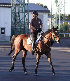 １年１カ月ぶりプロミストウォリア鉄砲Ｖ狙う　川副助手「いい時の感じになってきた」／エルムＳ