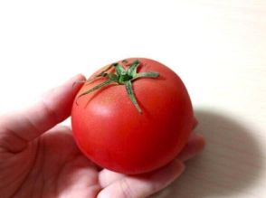 トマトは冷蔵保存ではなくむしろ冷凍すべき！その理由と活用法を野菜ソムリエが解説