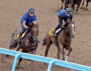 【小倉記念】１週前追い　シリウスコルトは折り合い改善　宗像師「何とか落ち着きました」