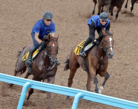 【小倉記念】１週前追い　シリウスコルトは折り合い改善　宗像師「何とか落ち着きました」