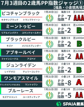 【2歳馬ジャッジ】ナチュラルライズとピコチャンブラックが優秀な内容でAAA　大きな舞台での活躍に期待