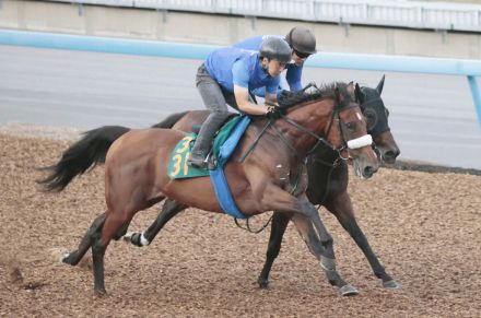 【注目馬動向】アーモンドアイの初子アロンズロッドが８・１１デビューを見送り　歩様に力感欠け放牧へ