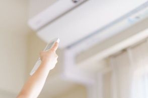 【夏の光熱費月1万円の人の昼】熱中症対策＆仕事効率を上げるために1人でもエアコンはつけます