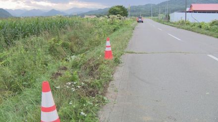 運転前にスズメバチに刺されたか　大樹町　トラックが路外に　運転していた男性重体