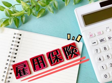 65歳以上で雇用保険と年金は同時受給できる？｜失業給付と年金の受け取り方を解説【シン・会社のマナー】