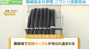 犯人は「命」が失われることを想定したか？…銅線盗まれ停電 ニワトリ多数死ぬ